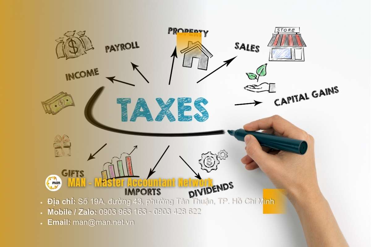 Dịch vụ kiểm toán thuế là gì_ Khái niệm và bản chất pháp lý