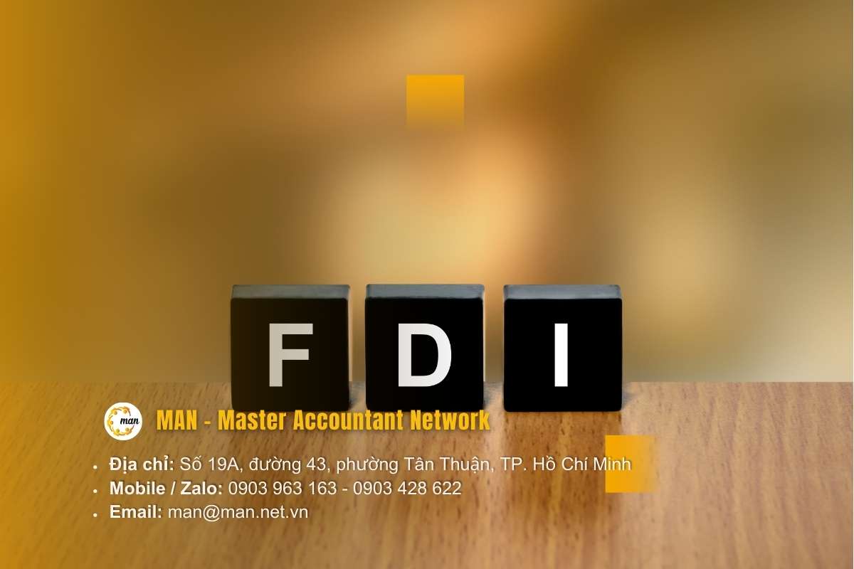 Khung pháp lý điều chỉnh hoạt động kiểm toán Doanh nghiệp vốn đầu tư nước ngoài