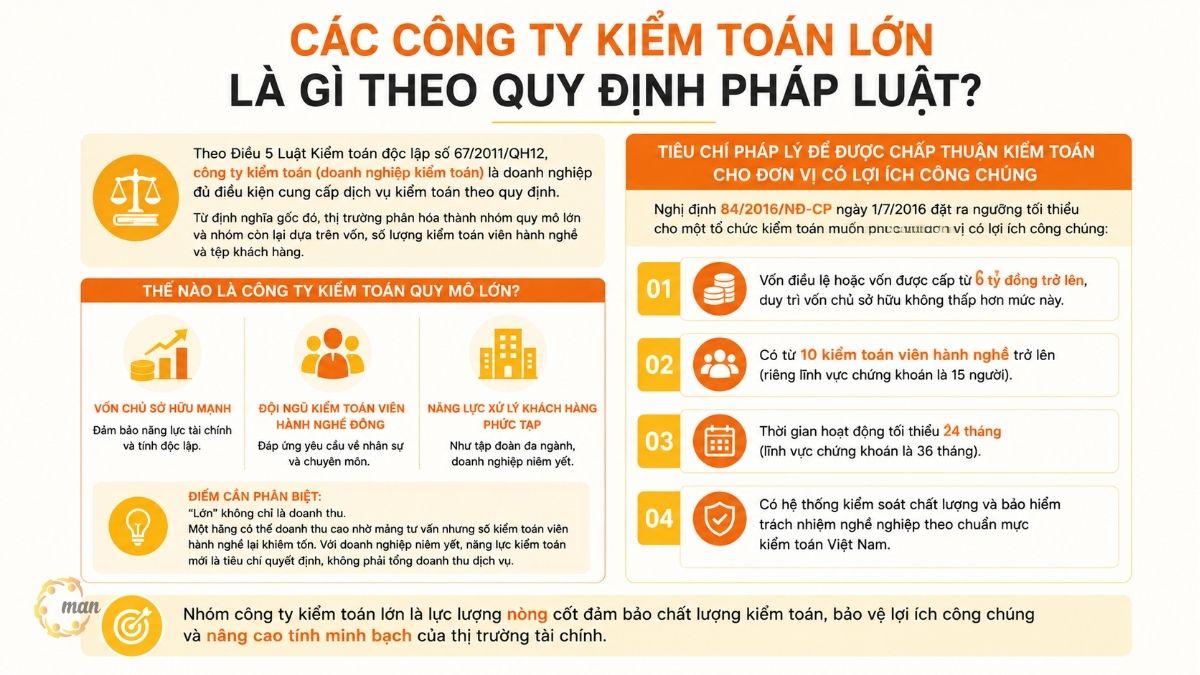 Các công ty kiểm toán lớn là gì theo quy định pháp luật?