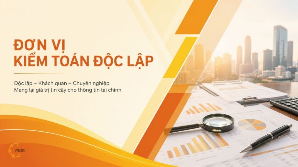Đơn vị kiểm toán độc lập