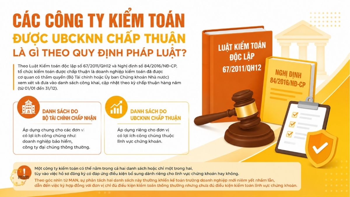Các công ty kiểm toán được UBCKNN chấp thuận là gì theo quy định pháp luật
