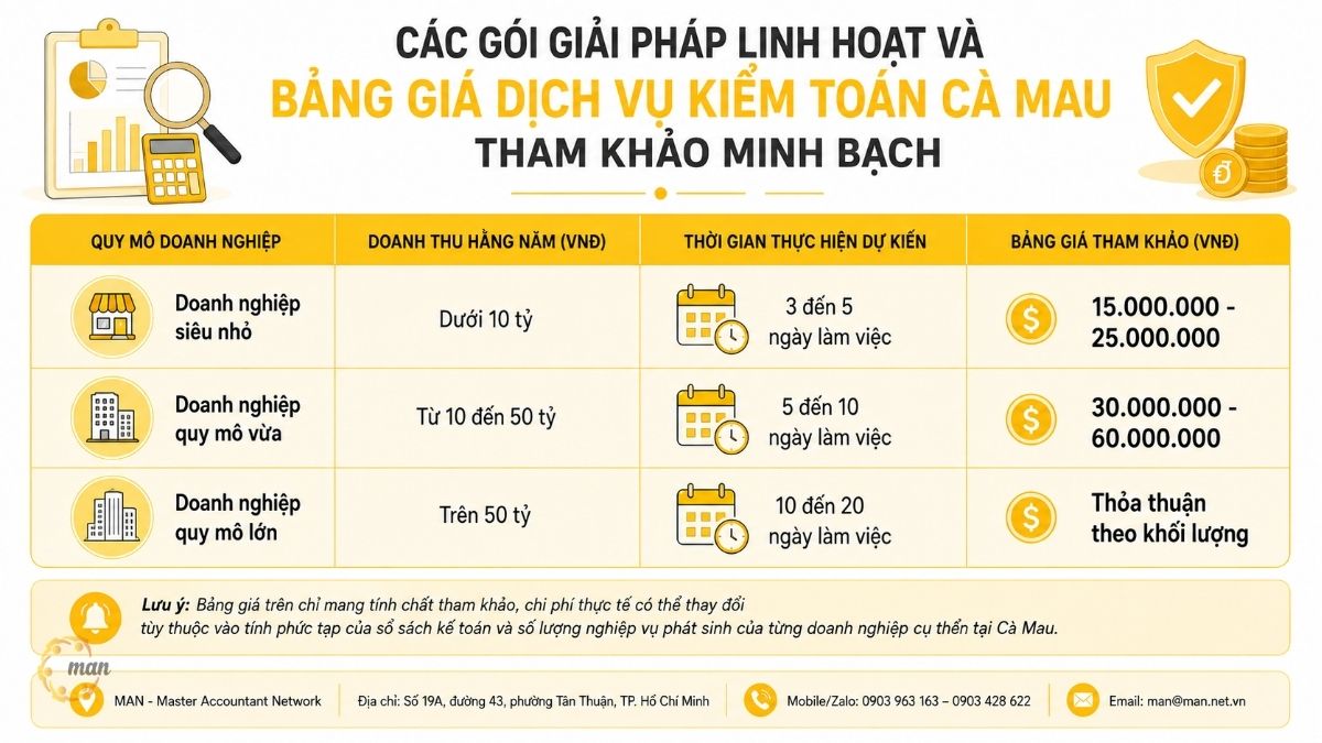 Các gói giải pháp linh hoạt và bảng giá dịch vụ kiểm toán Cà Mau tham khảo minh bạch